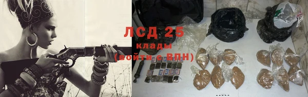 спиды Липки