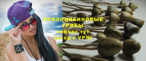 соль ск Лиски