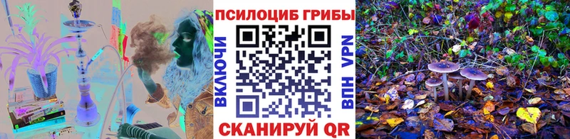 где купить наркотик  Ялуторовск  Псилоцибиновые грибы GOLDEN TEACHER 