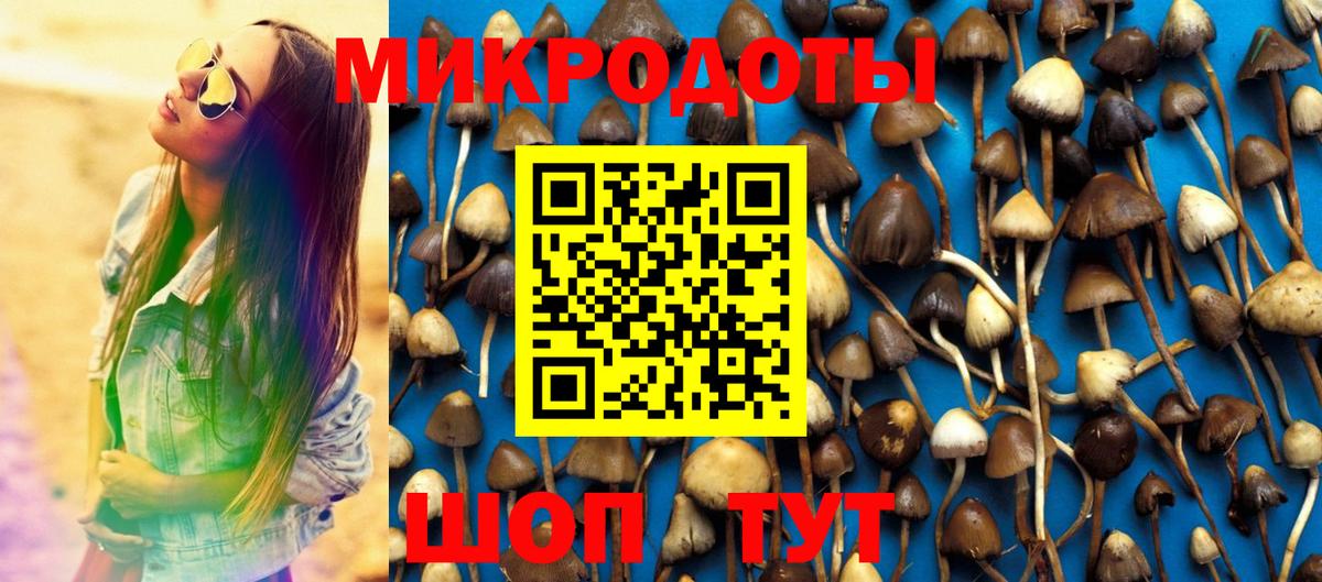 Ялуторовск  Псилоцибиновые грибы ЛСД  Вход с VPN 