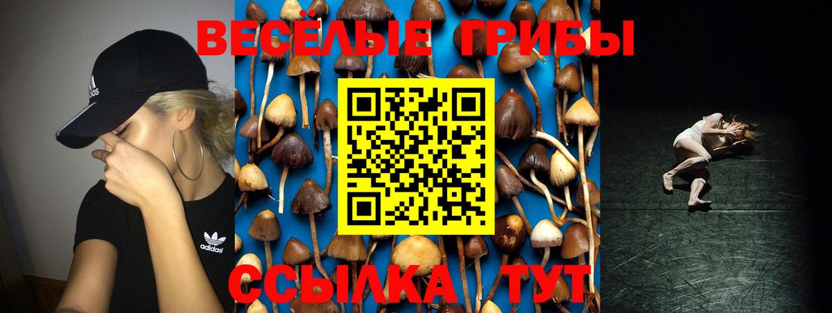 Галлюциногенные грибы Cubensis Ялуторовск